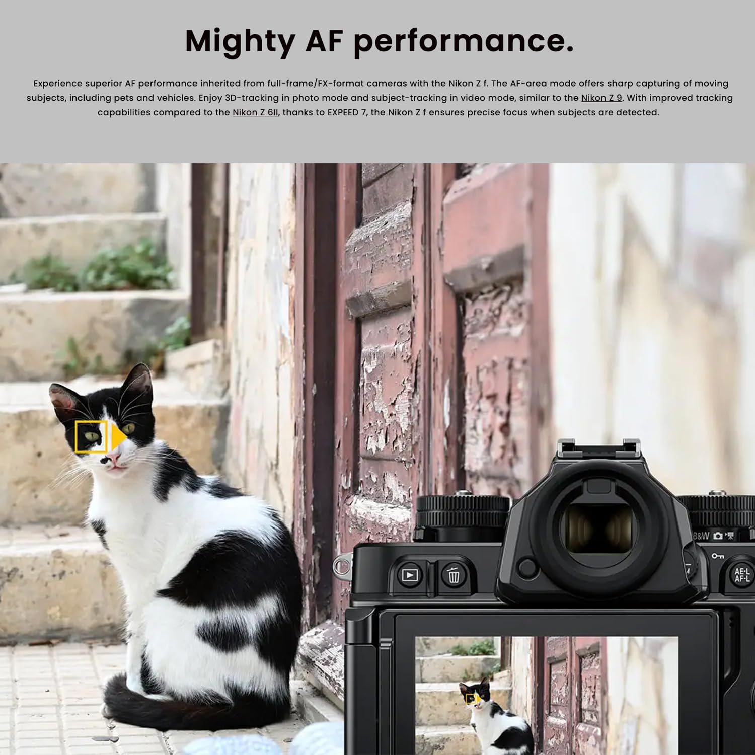 Amazon.com : Nikon Z F Mirrorless Camera with EXPEED 7 Image